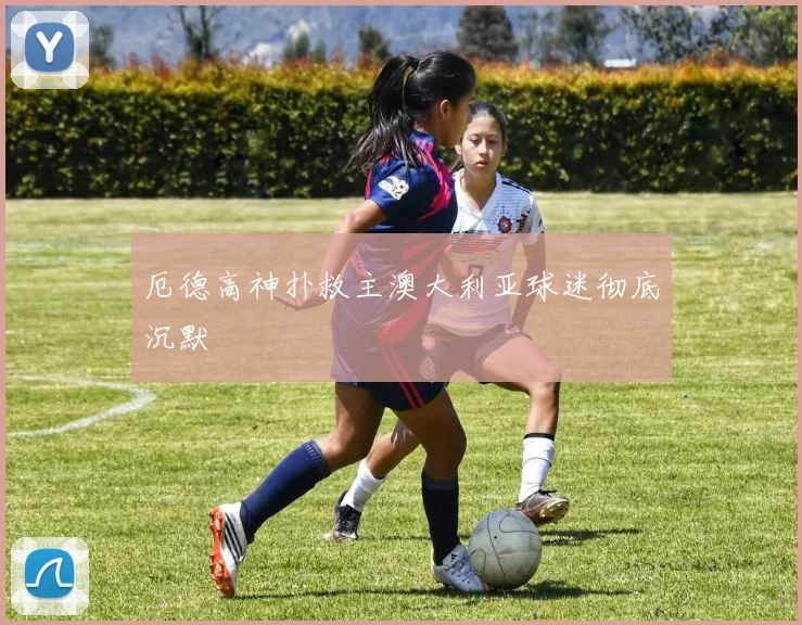 厄德高神扑救主澳大利亚球迷彻底沉默