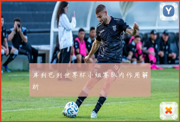 库利巴利世界杯小组赛队内作用解析