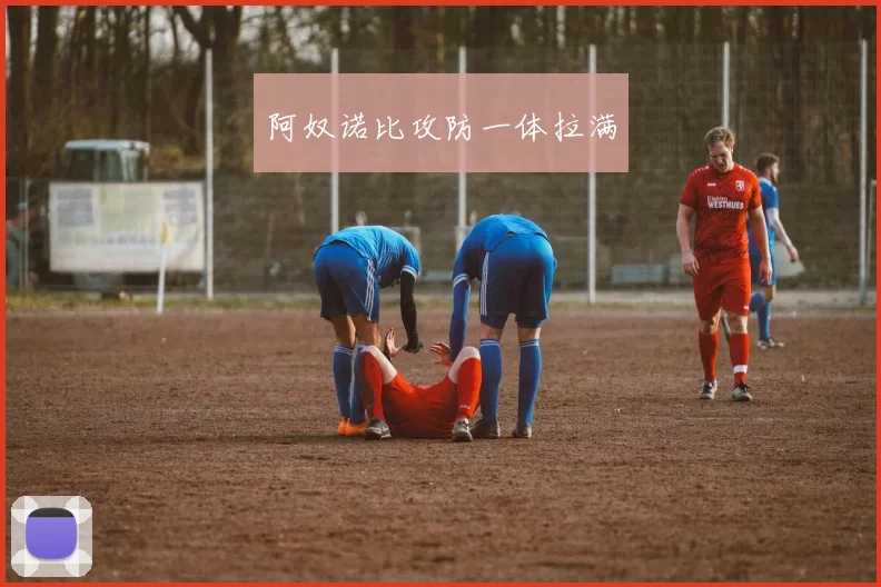 阿奴诺比攻防一体拉满