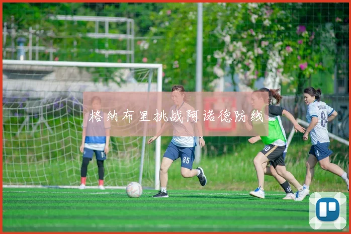 格纳布里挑战阿诺德防线