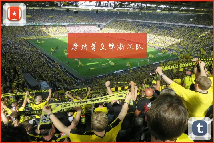 摩纳哥交锋浙江队