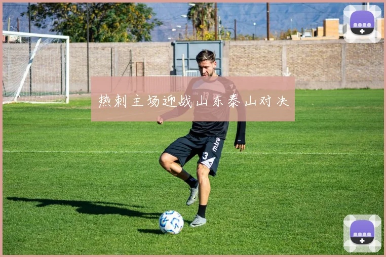热刺主场迎战山东泰山对决