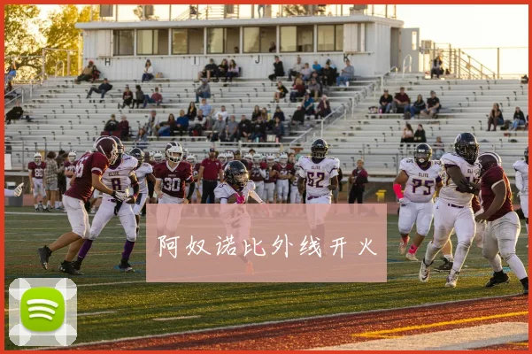 阿奴诺比外线开火