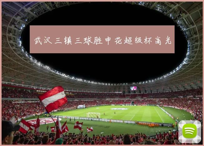 武汉三镇三球胜申花超级杯高光