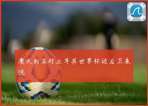 澳大利亚对土耳其世界杯边后卫表现