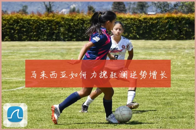 马来西亚如何力挽狂澜逆势增长