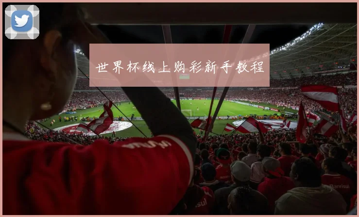 世界杯线上购彩新手教程