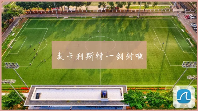 麦卡利斯特一剑封喉