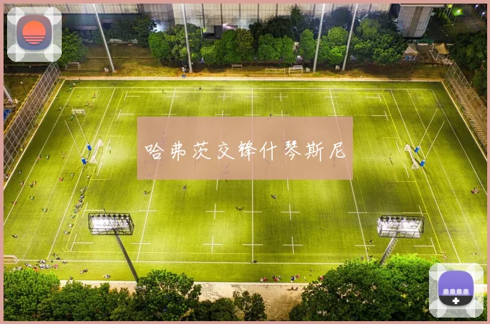 哈弗茨交锋什琴斯尼