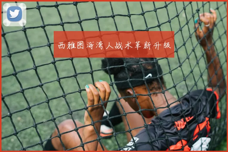 西雅图海湾人战术革新升级
