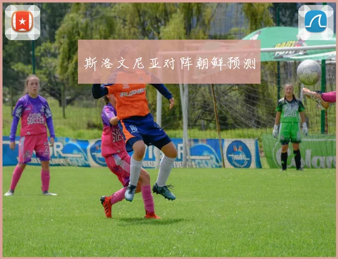 斯洛文尼亚对阵朝鲜预测