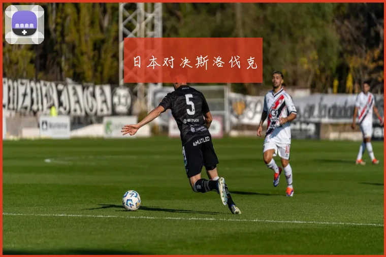 日本对决斯洛伐克