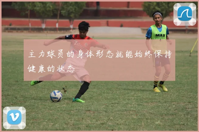 主力球员的身体形态就能始终保持健康的状态
