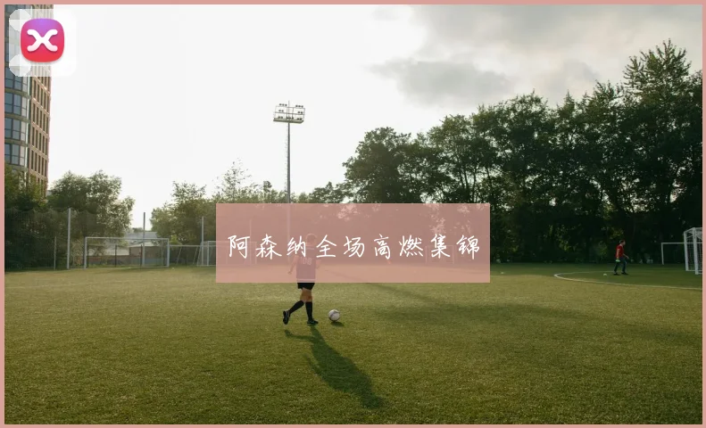 阿森纳全场高燃集锦