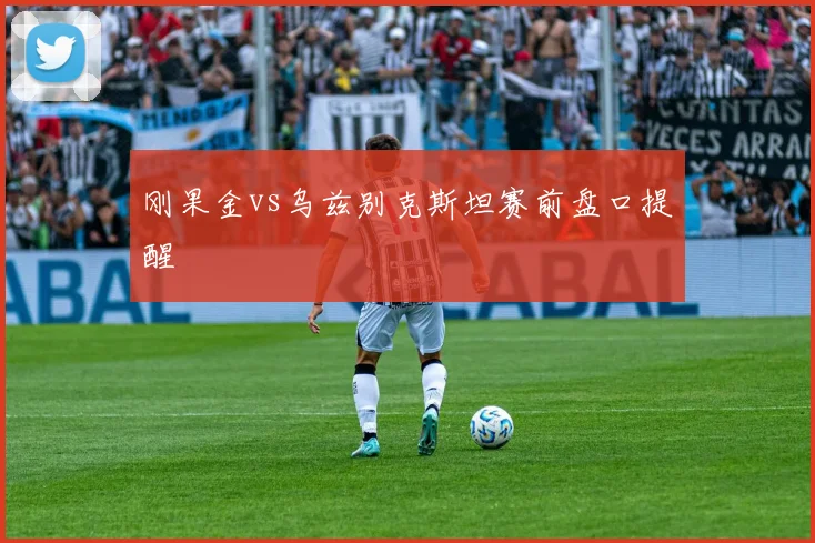 刚果金vs乌兹别克斯坦赛前盘口提醒