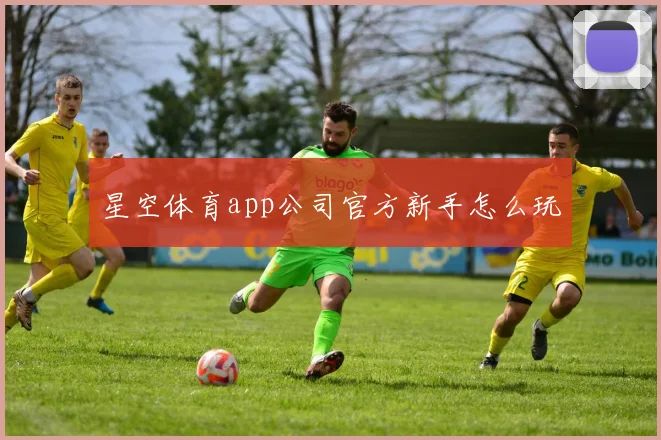 星空体育app公司官方新手怎么玩